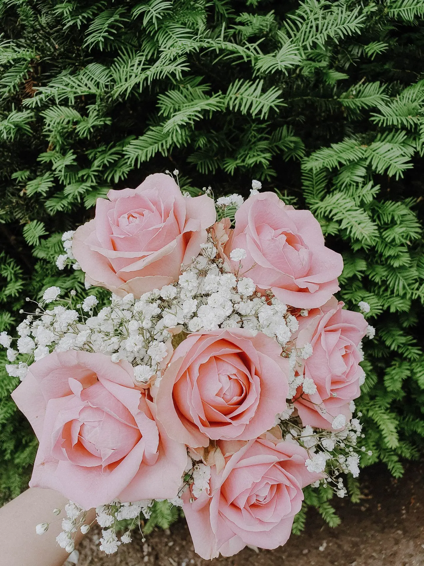Bouquet roee et gypsophile
