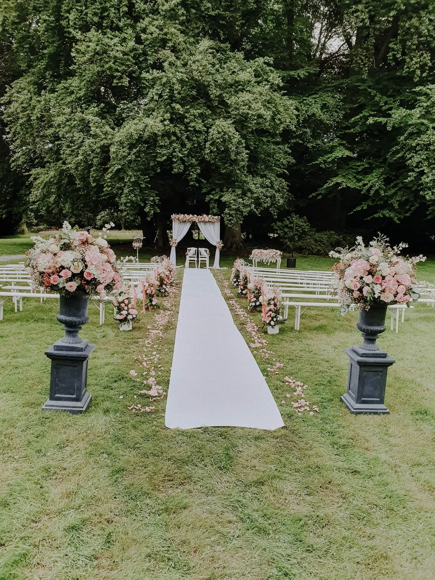 Medicis fleurie rose