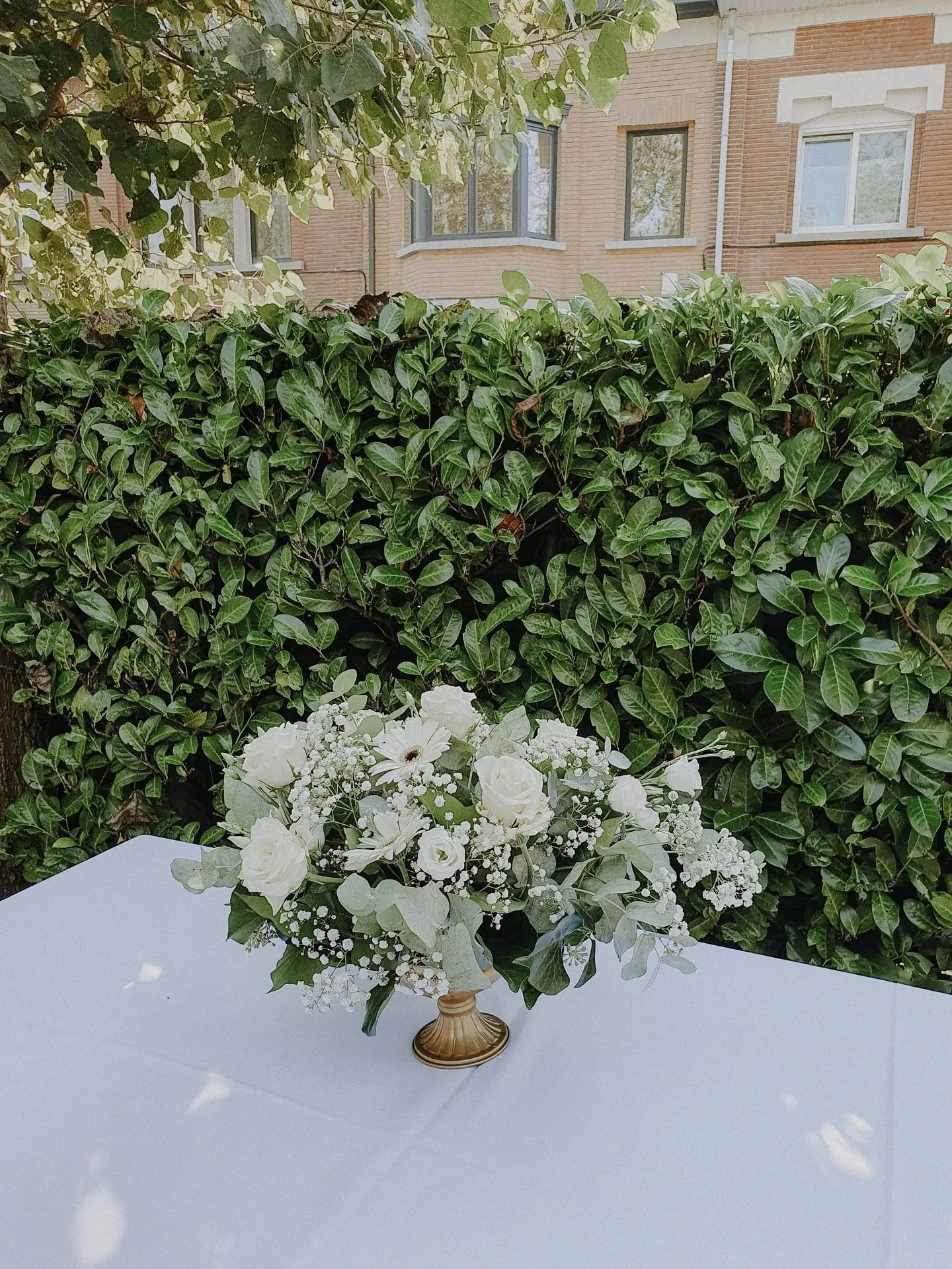 petit Médicis sur pied