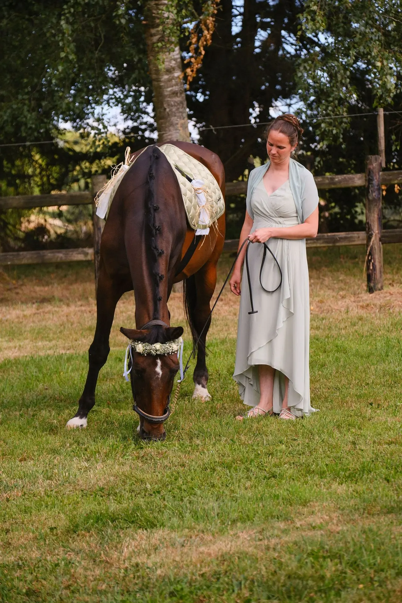 Chevale avec couronne de fleurs