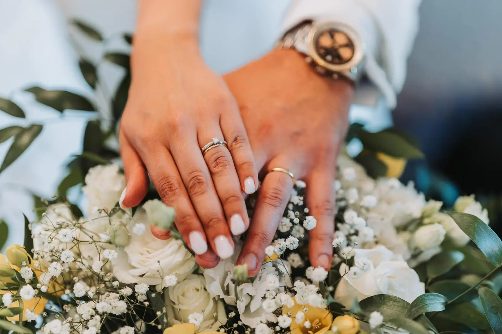 Alliance sur un montage blanc et vert