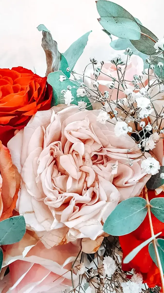 Rose de jardin – Petit Versailles, mariage de Manon et Thibault