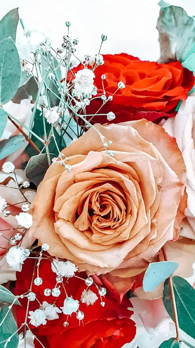 Rose cappucino – Petit Versailles, mariage de Manon et Thibault