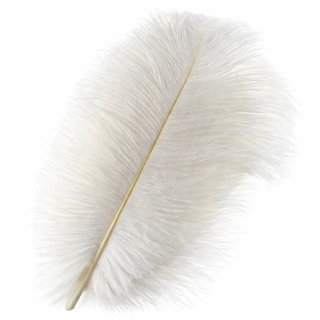 Plume d'autruche 40 à 50 cm