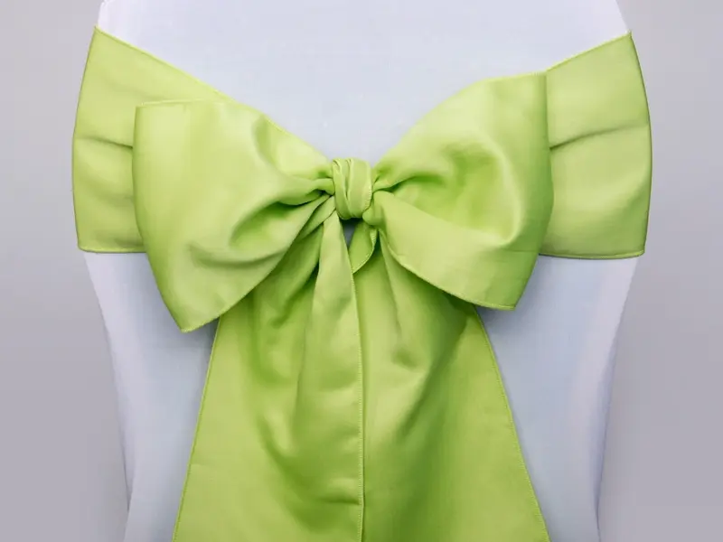 Ruban nœud de chaise vert clair