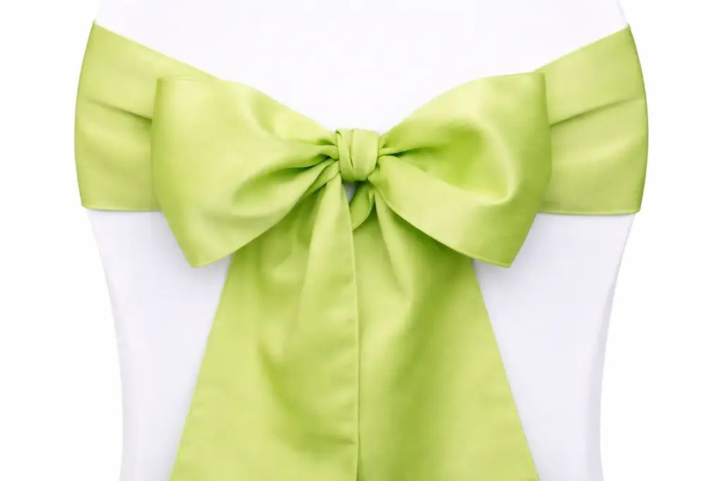 Ruban nœud de chaise vert clair