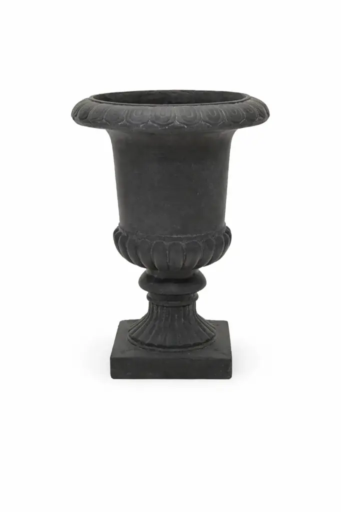 Médicis fibre graphite