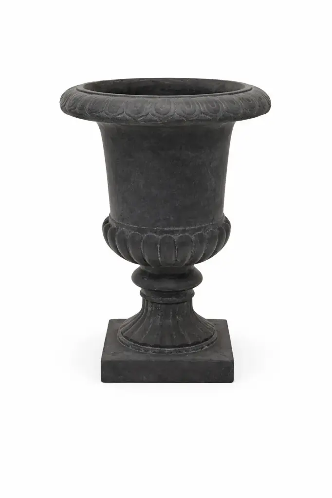 Grand Médicis fibre graphite