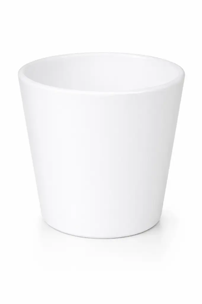 Pot blanc