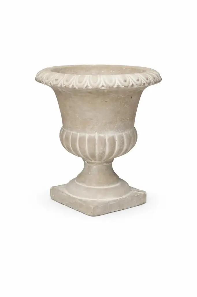 Petit medicis crème