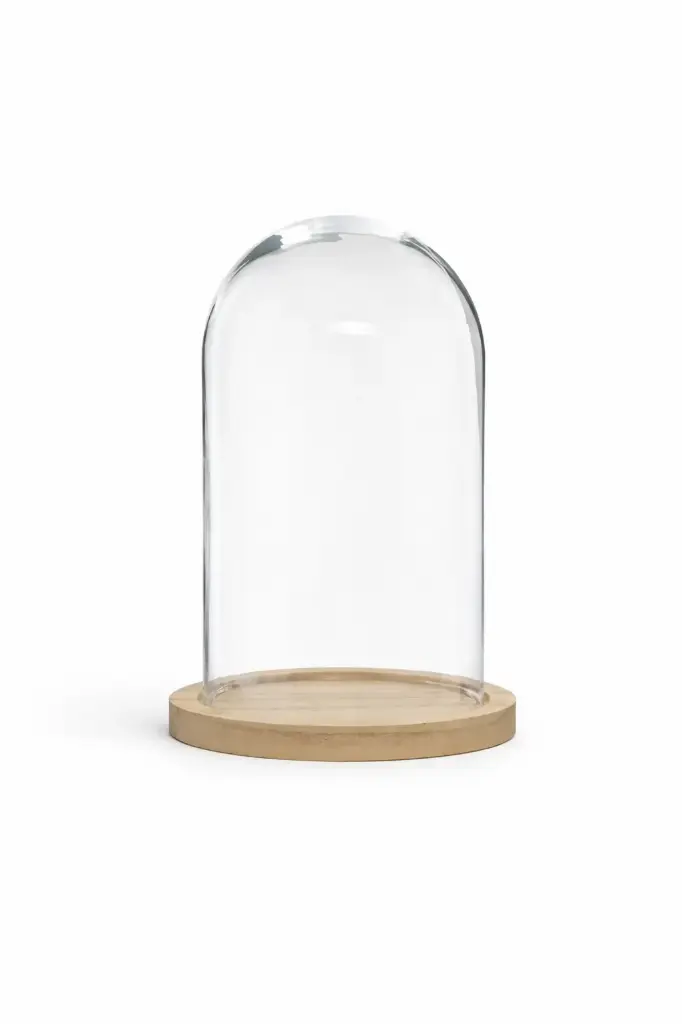 Cloche décorative en verre avec base en bois