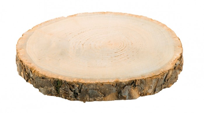 Rondin de bois entre 25 cm et 35 cm