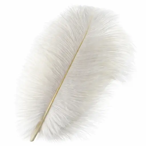 [LOC-2023-048] Plume d'autruche 40 à 50 cm