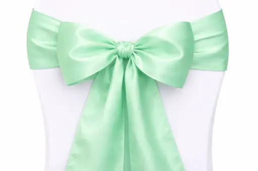 [LOC-2014-002-menthe] Ruban nœud de chaise menthe