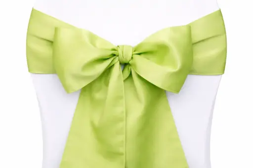 [LOC-2014-002-vert] Ruban nœud de chaise vert clair