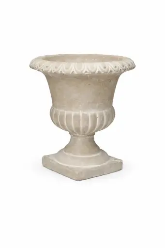 [LOC-2023-018] Petit medicis crème