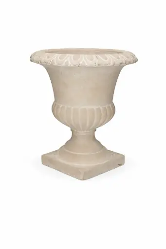 [LOC-2023-019] Medicis crème