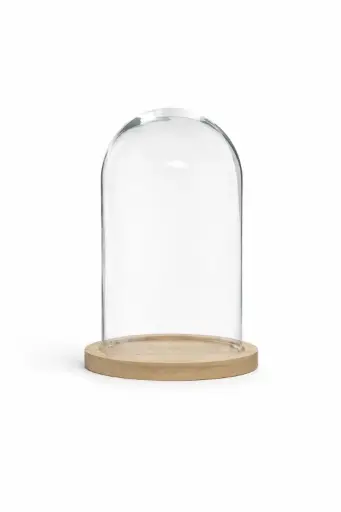 Cloche décorative en verre avec base en bois