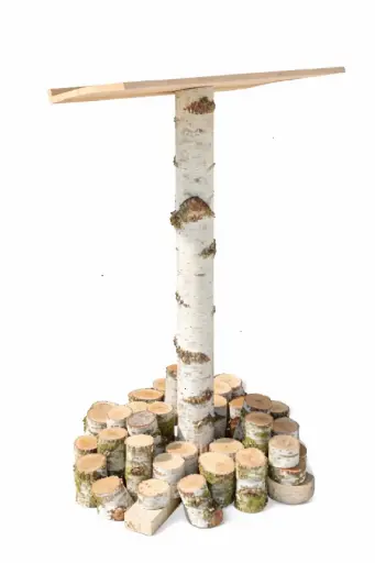 [LOC-2026-025] Pupitre en bouleau