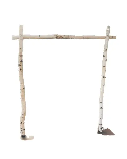 [LOC-2020-013] Arche en bouleau